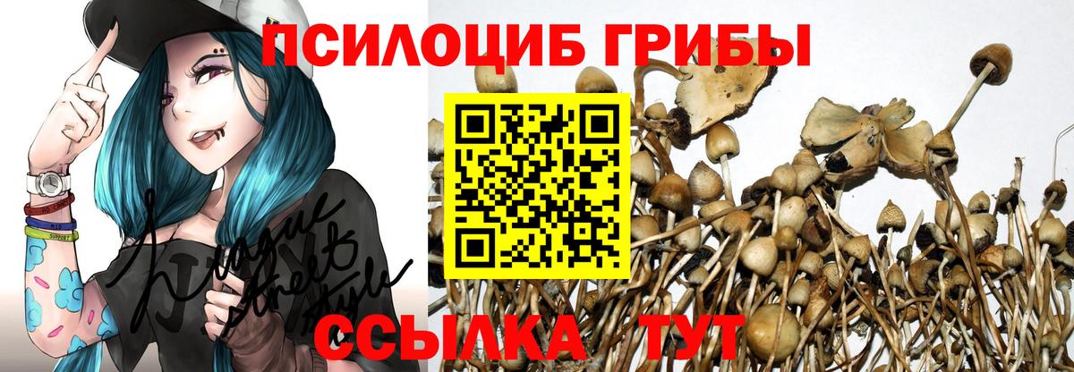 Галлюциногенные грибы Magic Shrooms Зеленодольск